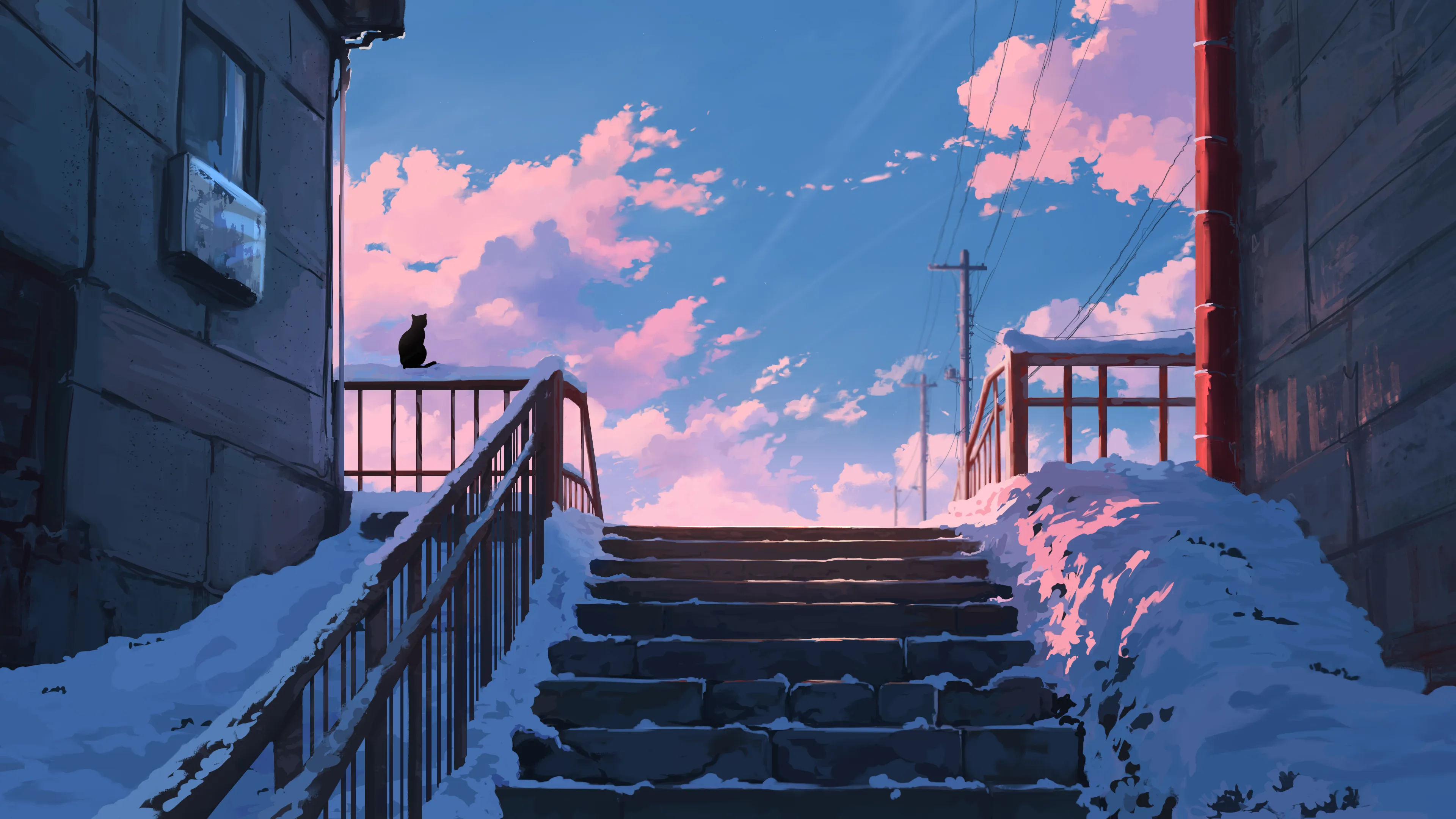 Cover Image of the Post